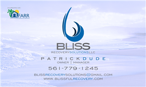 BLISS RECOVERY SOLUTIONS LLC photo #2